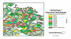 Spatially allocated harvest schedule